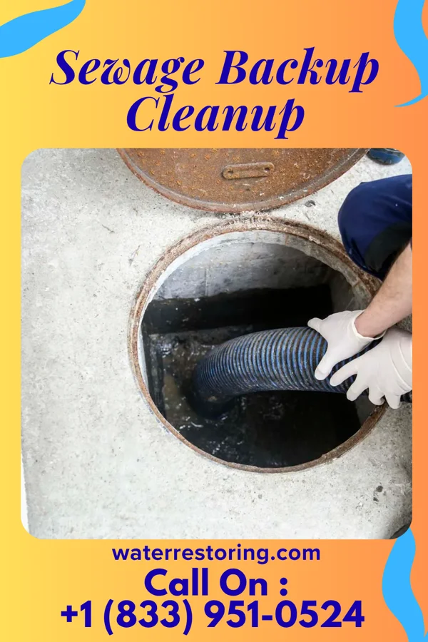 Sewage Backup Cleanup in Syracuse, NY